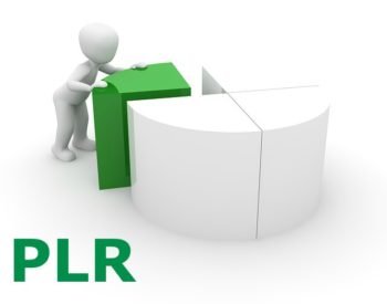 Serpro – PPLR 2020